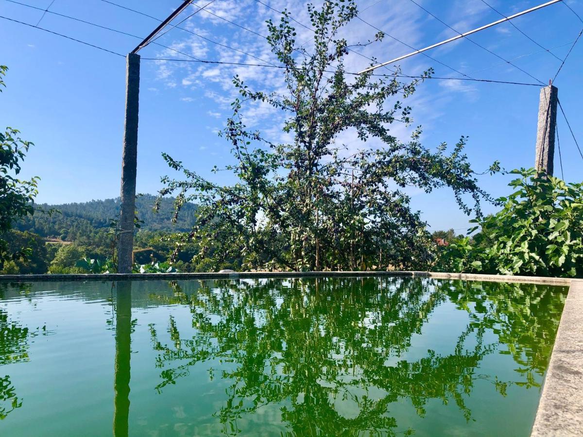 Casa Da Quinta Da Prelada Simao Villa Celorico De Basto Eksteriør bilde