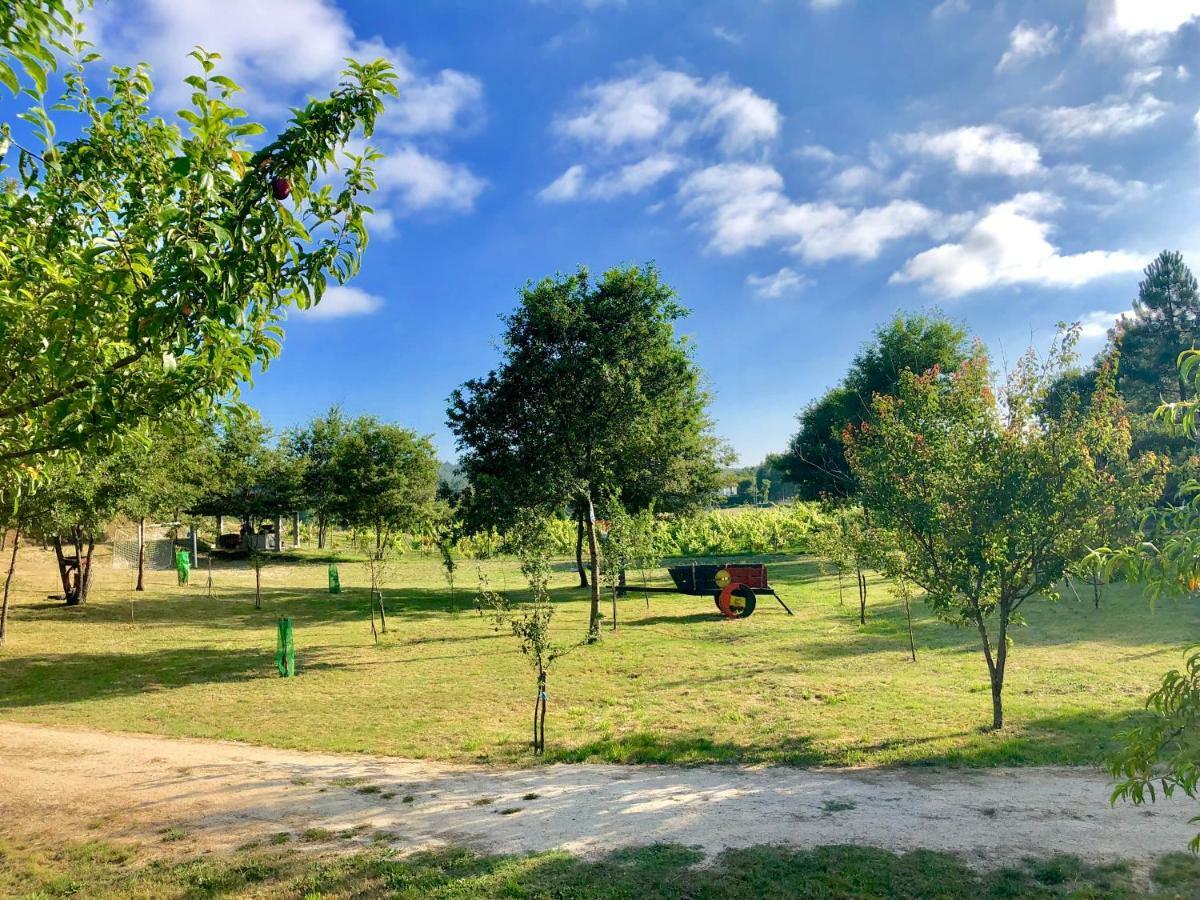 Casa Da Quinta Da Prelada Simao Villa Celorico De Basto Eksteriør bilde