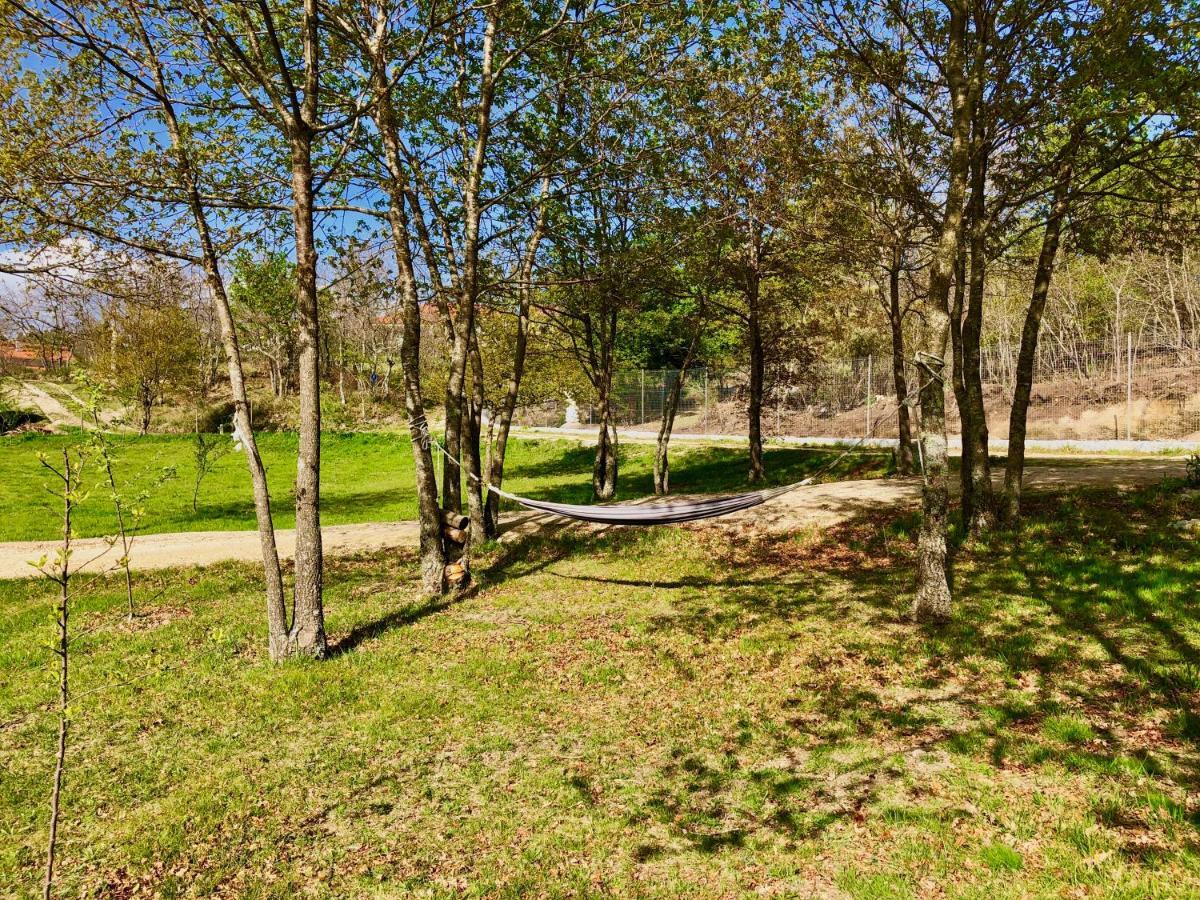 Casa Da Quinta Da Prelada Simao Villa Celorico De Basto Eksteriør bilde