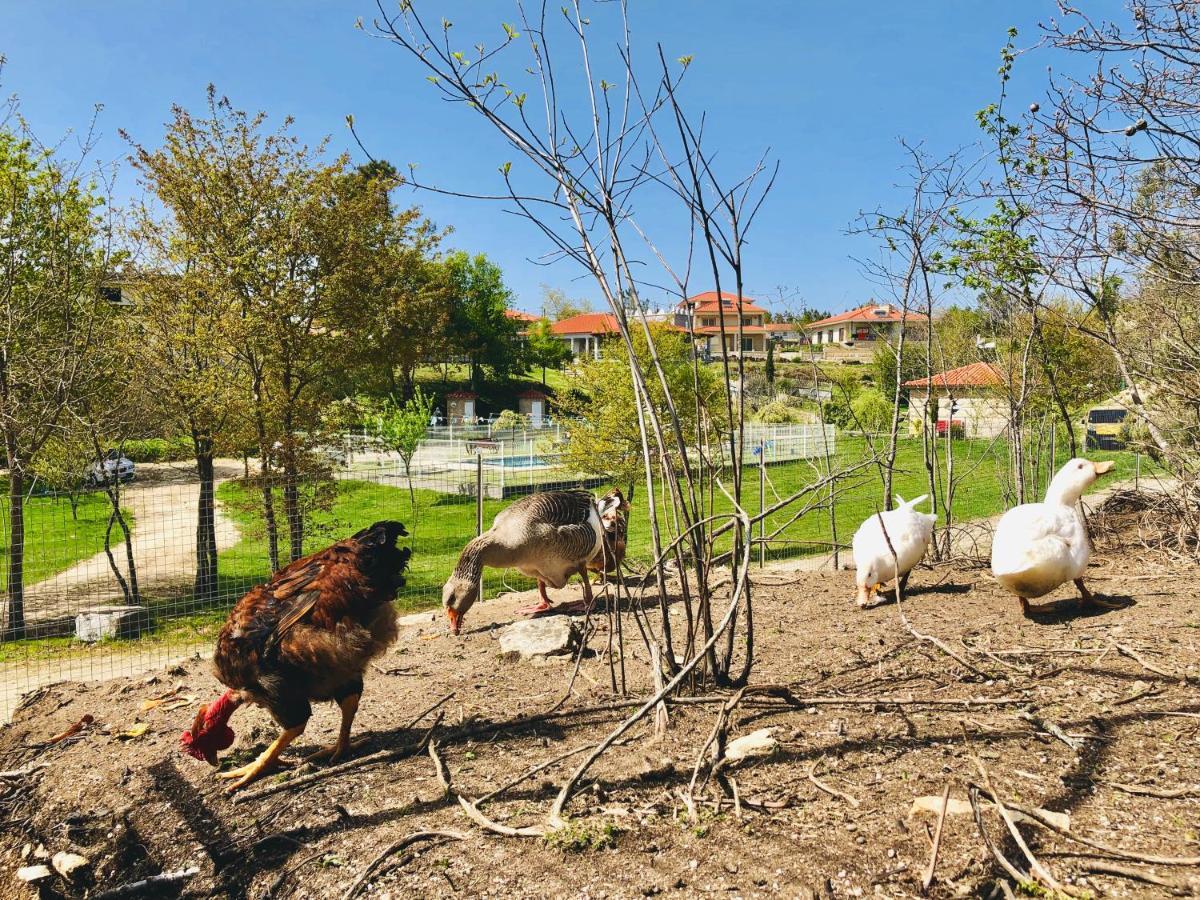 Casa Da Quinta Da Prelada Simao Villa Celorico De Basto Eksteriør bilde